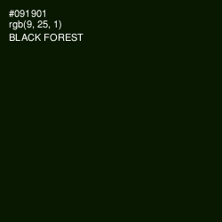 #091901 - Black Forest Color Image