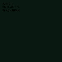 #091911 - Black Bean Color Image