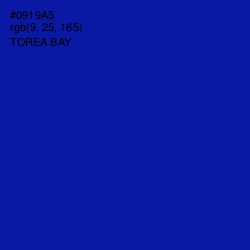#0919A5 - Torea Bay Color Image