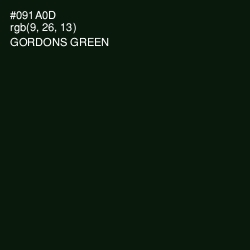 #091A0D - Gordons Green Color Image