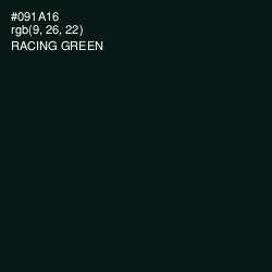 #091A16 - Racing Green Color Image