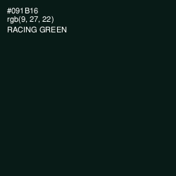 #091B16 - Racing Green Color Image