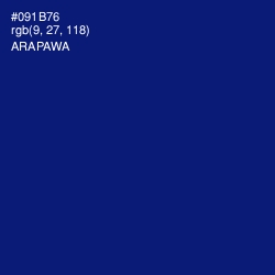 #091B76 - Arapawa Color Image