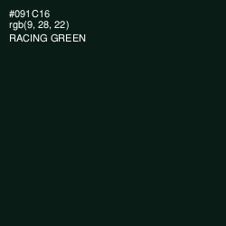 #091C16 - Racing Green Color Image