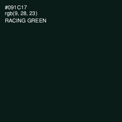 #091C17 - Racing Green Color Image