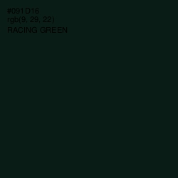 #091D16 - Racing Green Color Image