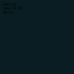 #091D23 - Black Pearl Color Image