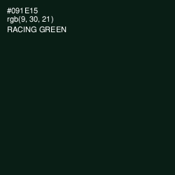 #091E15 - Racing Green Color Image