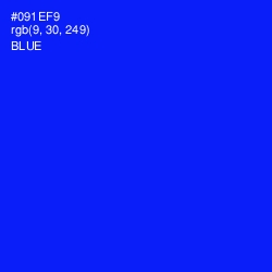 #091EF9 - Blue Color Image