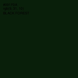 #091F0A - Black Forest Color Image