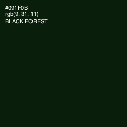#091F0B - Black Forest Color Image