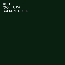 #091F0F - Gordons Green Color Image