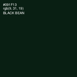 #091F13 - Black Bean Color Image