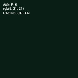 #091F15 - Racing Green Color Image