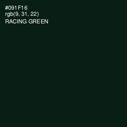 #091F16 - Racing Green Color Image