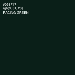 #091F17 - Racing Green Color Image