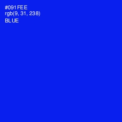 #091FEE - Blue Color Image