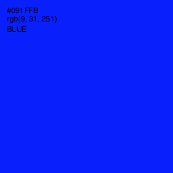 #091FFB - Blue Color Image