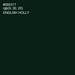#092017 - English Holly Color Image