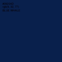 #09204D - Blue Whale Color Image