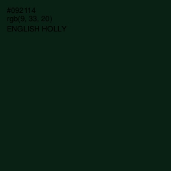 #092114 - English Holly Color Image