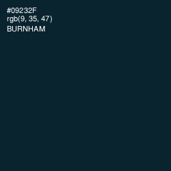 #09232F - Burnham Color Image