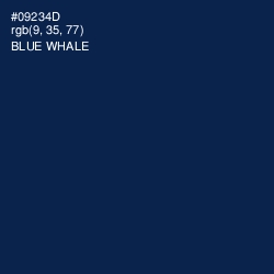 #09234D - Blue Whale Color Image