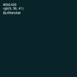 #092429 - Burnham Color Image