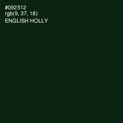 #092512 - English Holly Color Image