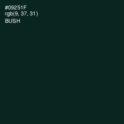 #09251F - Bush Color Image