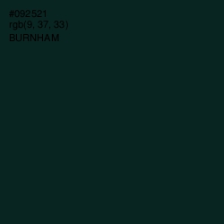 #092521 - Burnham Color Image