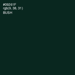 #09261F - Bush Color Image