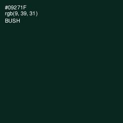 #09271F - Bush Color Image