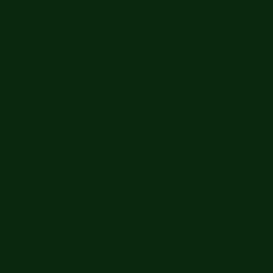 #09280C - Palm Green Color Image