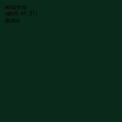 #09291B - Bush Color Image