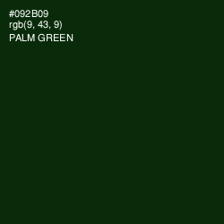 #092B09 - Palm Green Color Image