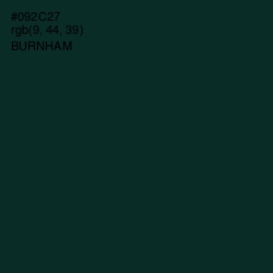 #092C27 - Burnham Color Image