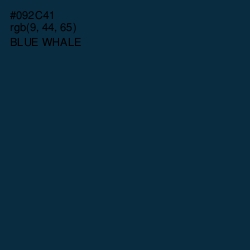 #092C41 - Blue Whale Color Image