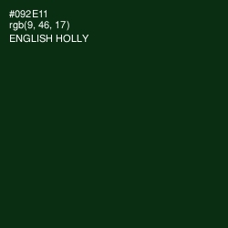 #092E11 - English Holly Color Image