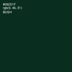 #092E1F - Bush Color Image