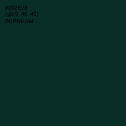 #092E28 - Burnham Color Image