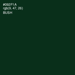 #092F1A - Bush Color Image