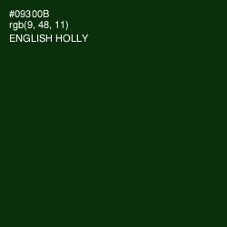 #09300B - English Holly Color Image