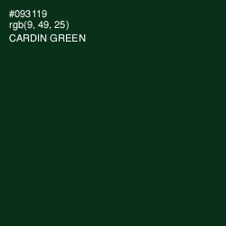 #093119 - Cardin Green Color Image