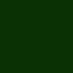 #093200 - Deep Fir Color Image