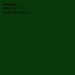 #09390B - English Holly Color Image