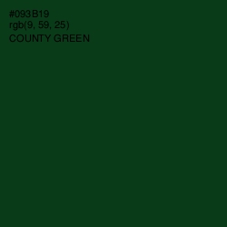 #093B19 - County Green Color Image