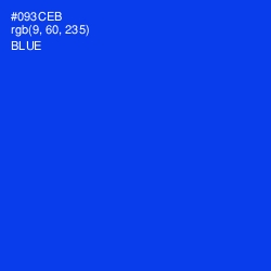 #093CEB - Blue Color Image