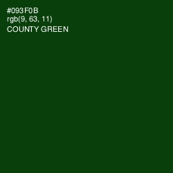 #093F0B - County Green Color Image