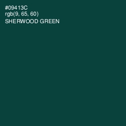 #09413C - Sherwood Green Color Image
